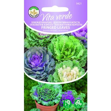 Dekoratiivkapsas Fringed Leaves