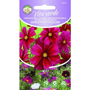 Harilik kosmos Sensation Dazzler