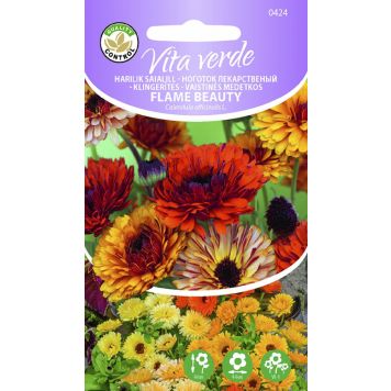 Harilik saialill Flame Beauty