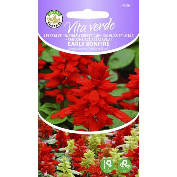 LEEKSALVEI EARLY BONFIRE