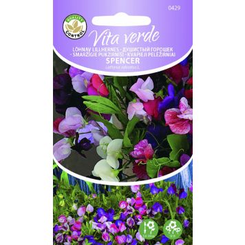 Lõhnav lillhernes Spencer segu