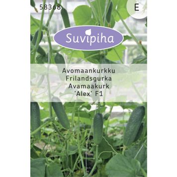 Avamaakurk Alex F1  Suvipiha