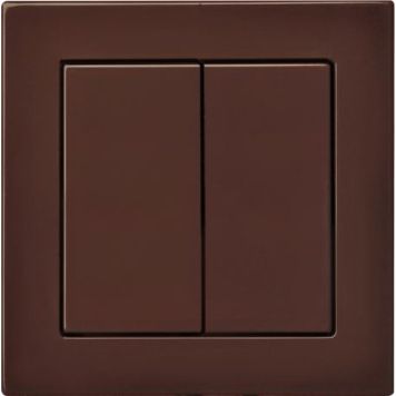 Lüliti Epsilon 2-ne raamita pruun