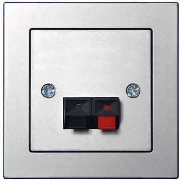 Kõlaripesa Epsilon raamita metall