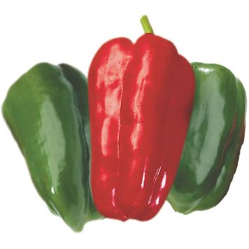 Paprika Lamuyo Ø 9 cm