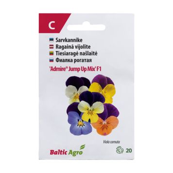 Sarvkannike Admire Jump Up