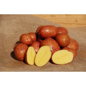 Seemnekartul Birgit B 5 kg