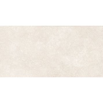 Põrandaplaat Frassinoro Stone Tendance 30 x 60 cm