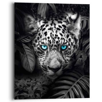 Sisustuspilt 84942 Blue Eyed Leopard 40 x 50 x 2 cm