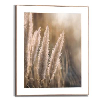 Sisustuspilt Reinders Sunset Grasses 40 x 50 cm