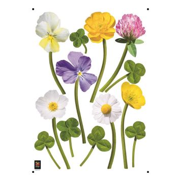 Posterkleebis Plage Lilled