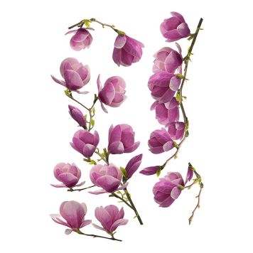 Posterkleebis Plage Magnoolia