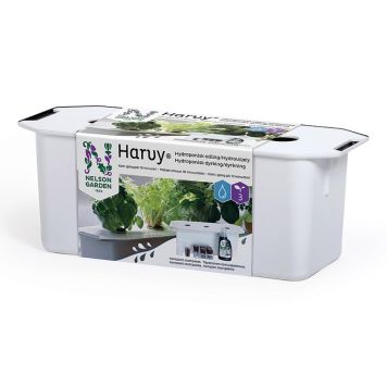 Stardipakett Nelson Garden Harvy 3