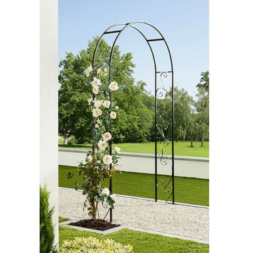 Roosikaar 120 x 26 x 240 cm