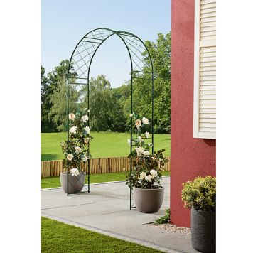 Roosikaar 124 x 36 x 238 cm