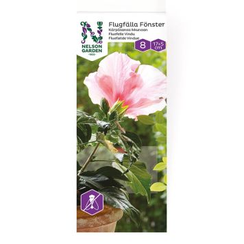 Kärbse liimpüünis 8 tk