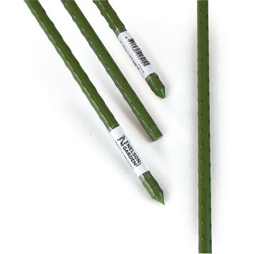 Taimetugi Nelson Garden 120 cm