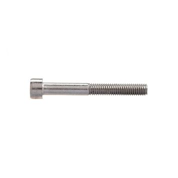 Sisekuuskantpoldid Profi Depot DIN912 A2, 5 x 30 mm, 100 tk