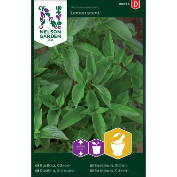 Basiilik Lemon Scent