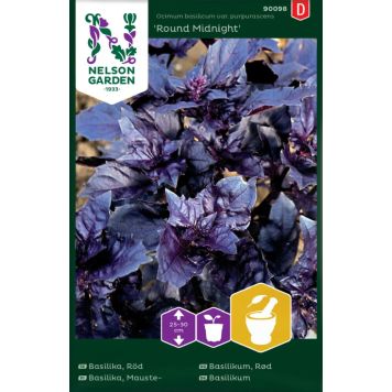 Basiilik Round Midnight