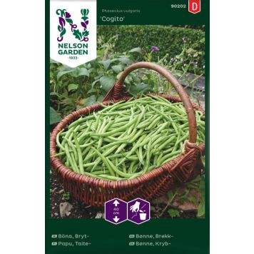 Harilik aeduba Nelson Cogito