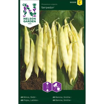 Harilik aeduba Serpedor