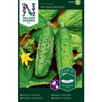 Avamaakurk Vert Petit de Paris