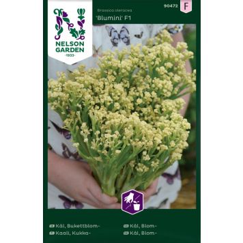 Lillkapsas Nelson Blumini F1