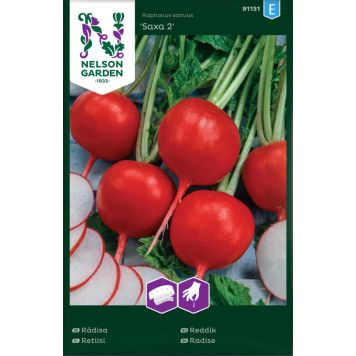 Redis Saxa 2 seemnelindil