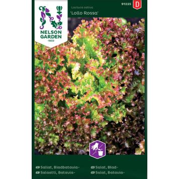 Salat Lollo Rosso