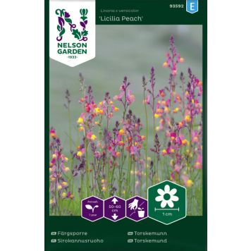 Käokannus Nelson Licilia Peach