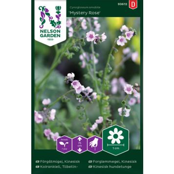 Aedrass Mystery Rose