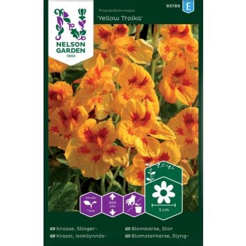 Suur mungalill Yellow Troika