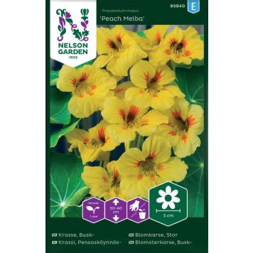 Suur mungalill Peach Melba