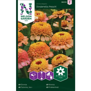 Pruudisõlg Zindarella Peach