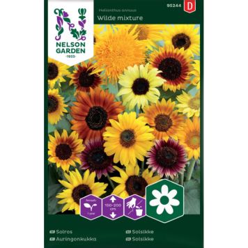 Harilik päevalill Wilde mixture