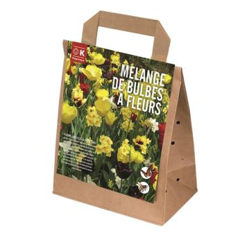 Sibullilled 25 tk Blooms, Bees & Butterflies kollane