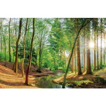 Poster Reinders Spring Woods 044