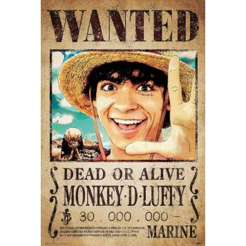 Poster ReindersOne Piece - wanted monkey d. Luffy  082