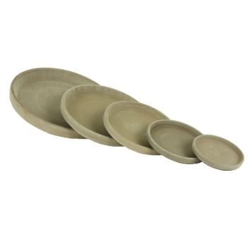 Alustaldrik lillepotile Ø 14,5 cm, hall