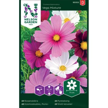 Harilik kosmos Vega Mixture