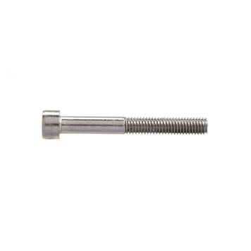 Sisekuuskantpoldid Profi Depot DIN912 A2, 6 x 16 mm, 100 tk