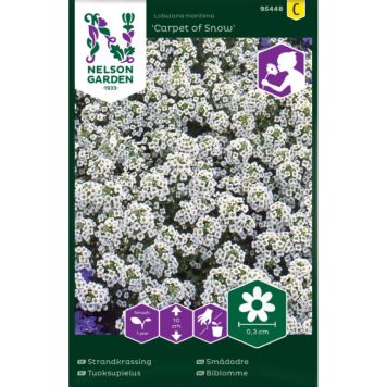 Kivikilbik Carpet of Snow