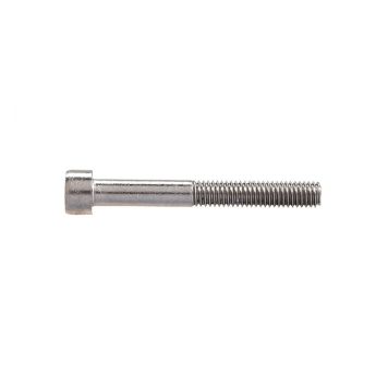 Sisekuuskantpoldid Profi Depot DIN912 A2, 5 x 20 mm, 100 tk