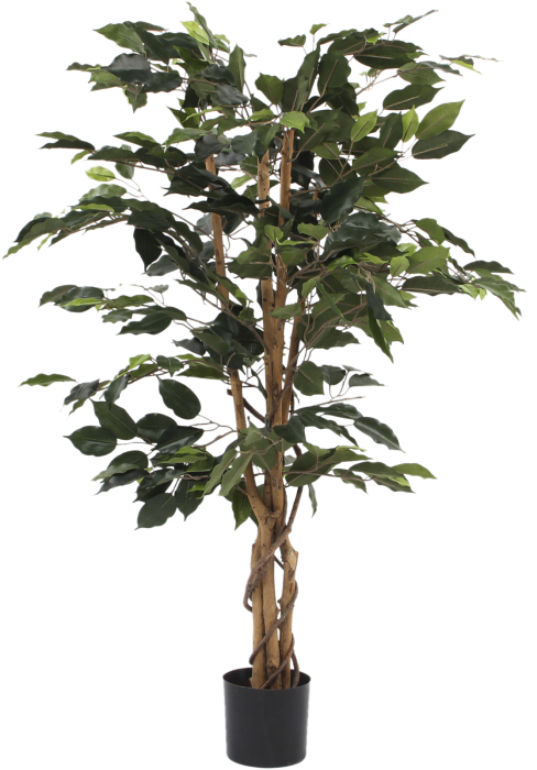Kunstlill Bensoe viigipuu 110 cm