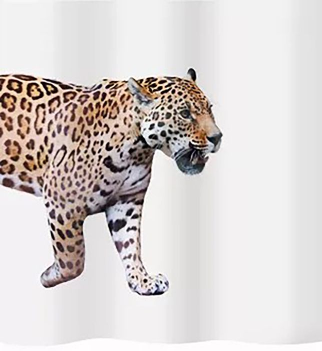 Dušikardin Diaqua Jaguar