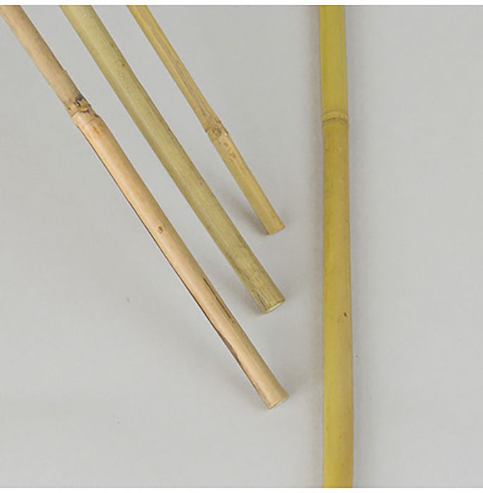 Tugikepp bambus 1,2 m