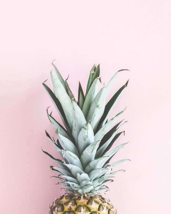 Poster Pineapple Pink 40 x 50 cm