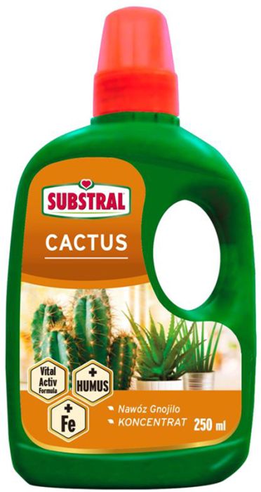 Kaktuse väetis Substral 250 ml