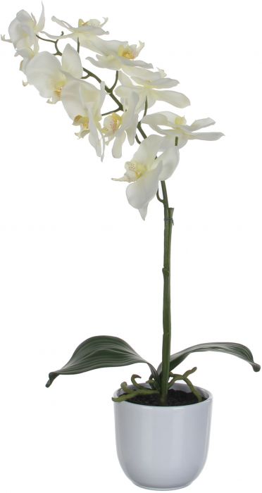 Kunstlill orhidee valge 60 cm
